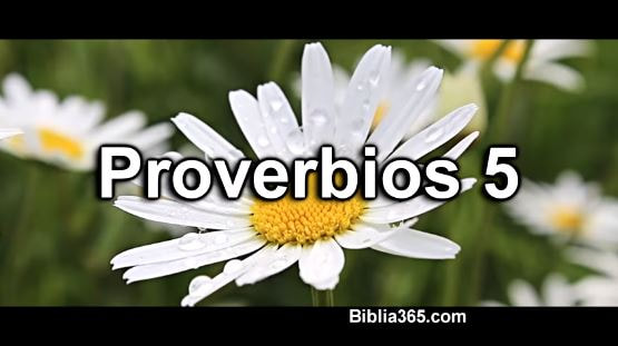 Proverbios 5
