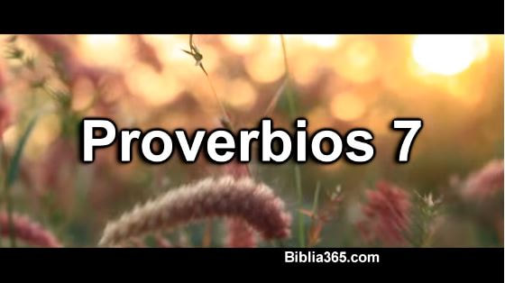 Proverbios 7